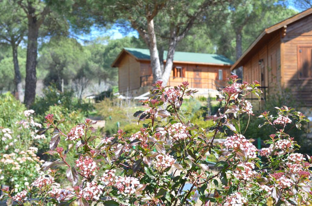 Apartamentos Paraje San Gines Andújar Екстериор снимка