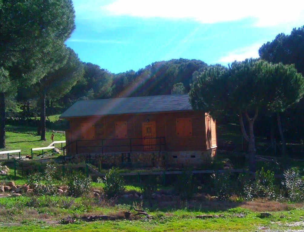 Apartamentos Paraje San Gines Andújar Екстериор снимка