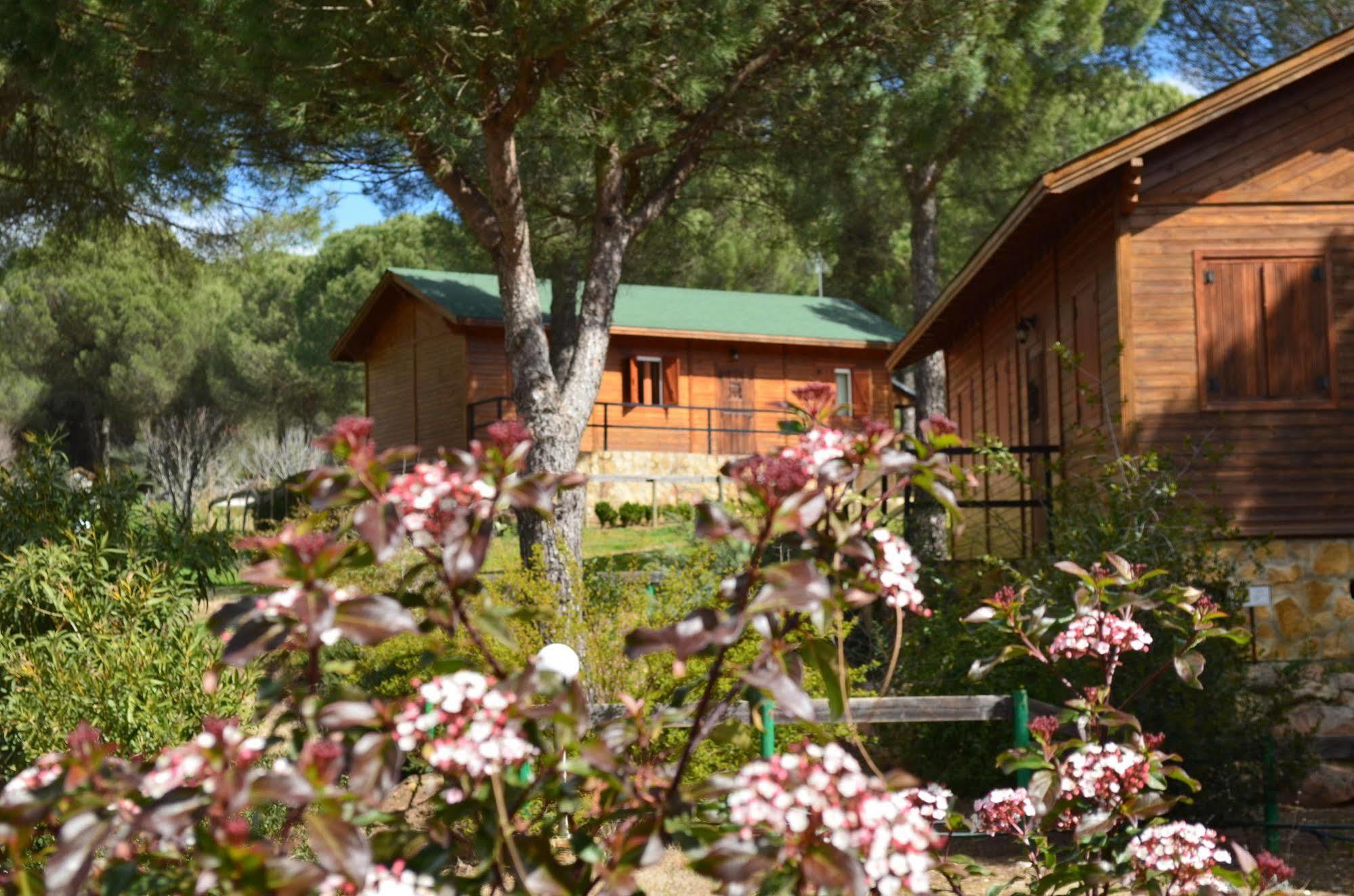 Apartamentos Paraje San Gines Andújar Екстериор снимка
